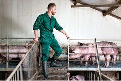 ???? Stivali Dunlop Purofort S4 Senza Puntale Comfort e Sicurezza ????‍♂️ - 2