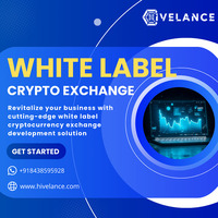 Build Your Elite Whitelabel Crypto Exchange Software at Hivelance