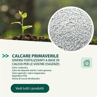 Agritura – Patate da Seme Selezionate e Calce Agricola per un Orto Ricco