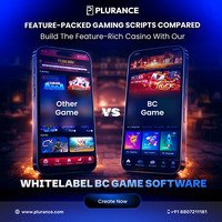 Create an Engaging Online Gaming Experience with BC Game Clone Script