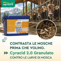 🪰 Fermale prima che volino: controllo delle larve di mosca