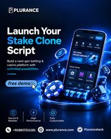 Explore New Gaming Business Potential with Stake Clone Software