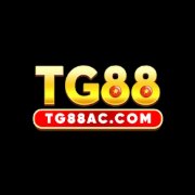 tg88accom