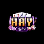 haywincocom1