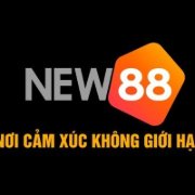 new88energy1