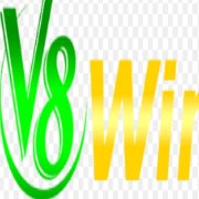 V8WIN
