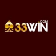 33winsolutions