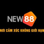 New88